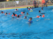 بالصور: اختتام دورة سباحة صيف 2013 للصغار في بركة اللد